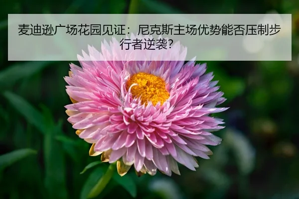 麦迪逊广场花园见证：尼克斯主场优势能否压制步行者逆袭？