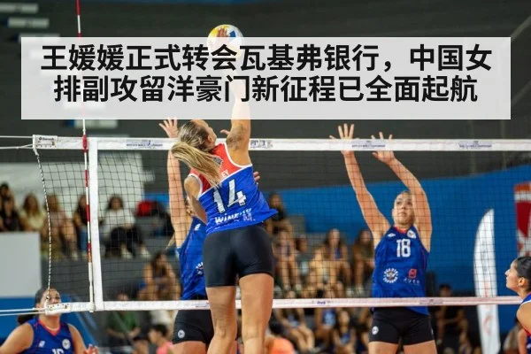 volleyball match action