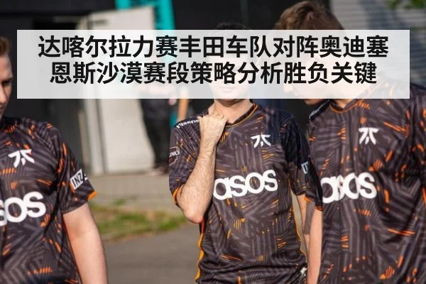 达喀尔拉力赛丰田车队对阵奥迪塞恩斯沙漠赛段策略分析胜负关键